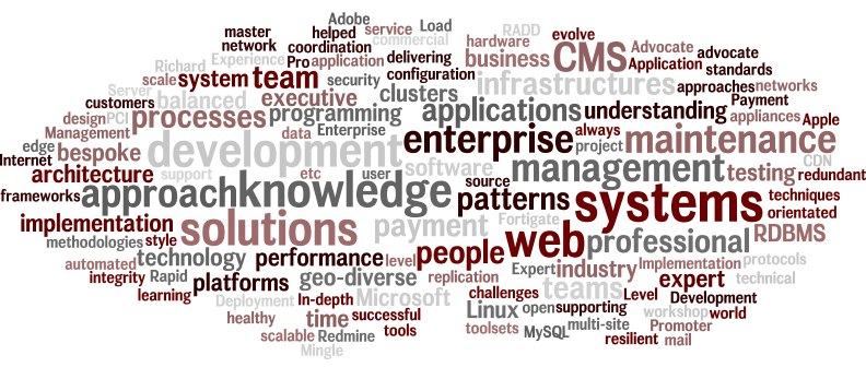 word-cloud overview of my CV